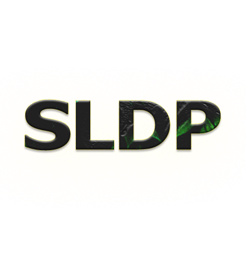 SLDP | RKD Holdings Limited